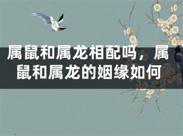 属鼠和属龙相配吗，属鼠和属龙的姻缘如何