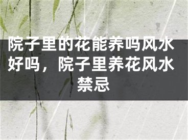 院子里的花能养吗风水好吗，院子里养花风水禁忌