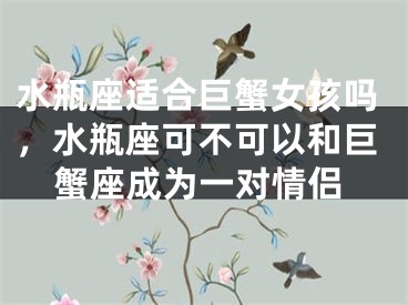 水瓶座适合巨蟹女孩吗，水瓶座可不可以和巨蟹座成为一对情侣