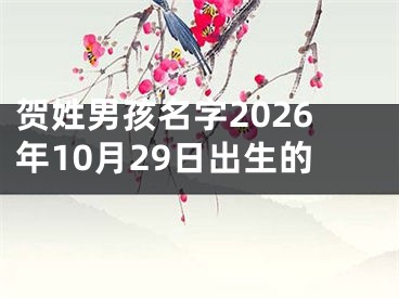 贺姓男孩名字2026年10月29日出生的