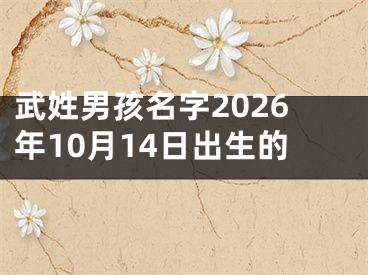 武姓男孩名字2026年10月14日出生的 