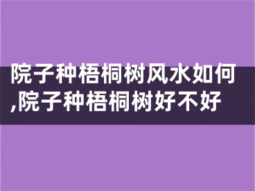 院子种梧桐树风水如何,院子种梧桐树好不好