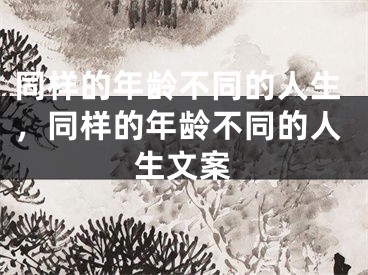 同样的年龄不同的人生，同样的年龄不同的人生文案