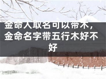 金命人取名可以带木,金命名字带五行木好不好