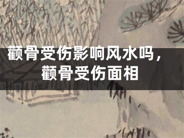 颧骨受伤影响风水吗，颧骨受伤面相