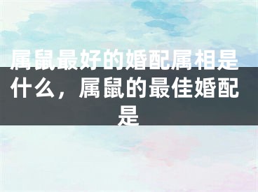 属鼠最好的婚配属相是什么，属鼠的最佳婚配是