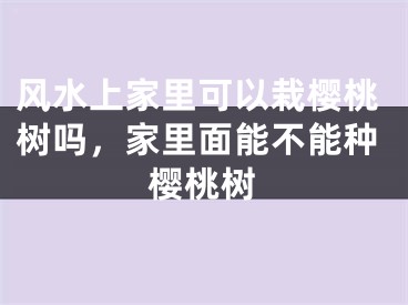 风水上家里可以栽樱桃树吗，家里面能不能种樱桃树