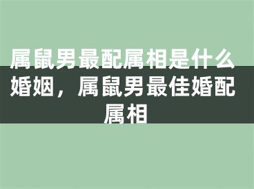 属鼠男最配属相是什么婚姻，属鼠男最佳婚配属相