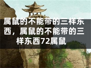 属鼠的不能带的三样东西，属鼠的不能带的三样东西72属鼠