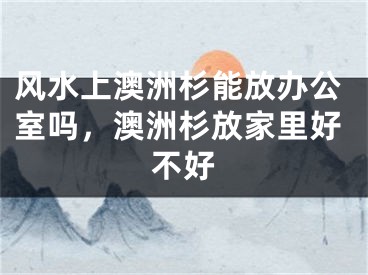 风水上澳洲杉能放办公室吗，澳洲杉放家里好不好