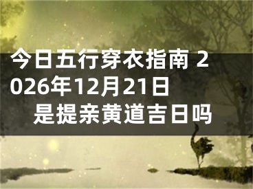 今日五行穿衣指南 2026年12月21日是提亲黄道吉日吗