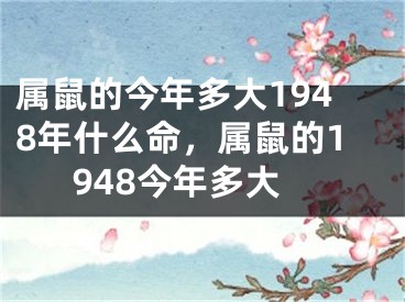 属鼠的今年多大1948年什么命,属鼠的1948今年多大