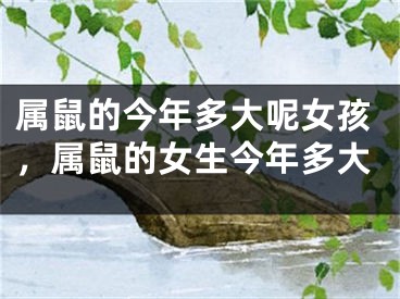 属鼠的今年多大呢女孩，属鼠的女生今年多大