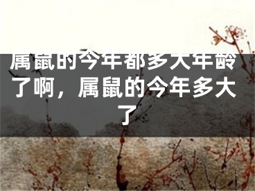属鼠的今年都多大年龄了啊，属鼠的今年多大了