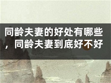 同龄夫妻的好处有哪些，同龄夫妻到底好不好