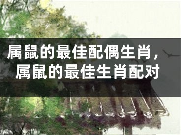 属鼠的最佳配偶生肖，属鼠的最佳生肖配对