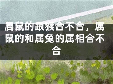 属鼠的跟猴合不合，属鼠的和属兔的属相合不合