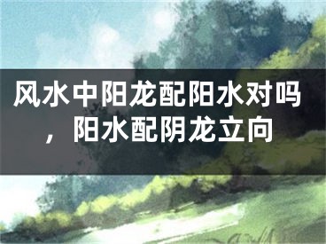 风水中阳龙配阳水对吗，阳水配阴龙立向