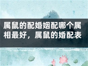 属鼠的配婚姻配哪个属相最好，属鼠的婚配表