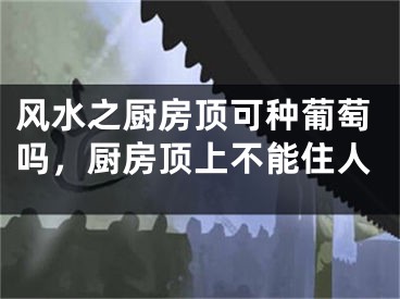 风水之厨房顶可种葡萄吗,厨房顶上不能住人