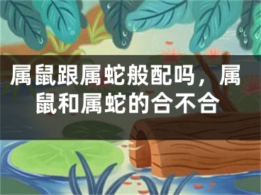属鼠跟属蛇般配吗，属鼠和属蛇的合不合