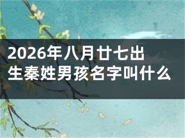 2026年八月廿七出生秦姓男孩名字叫什么
