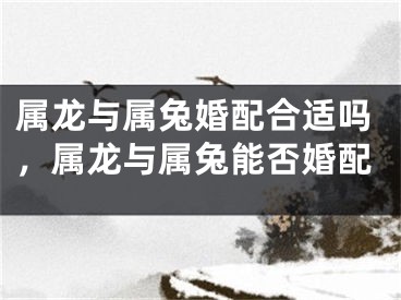属龙与属兔婚配合适吗，属龙与属兔能否婚配