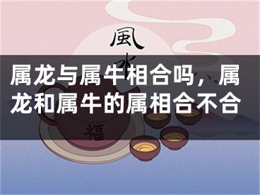 属龙与属牛相合吗,属龙和属牛的属相合不合