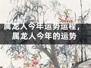 属龙人今年运势运程，属龙人今年的运势