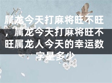 属龙今天打麻将旺不旺，属龙今天打麻将旺不旺属龙人今天的幸运数字是多少