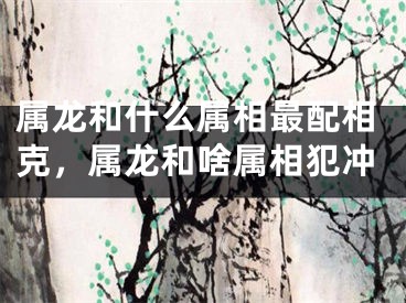 属龙和什么属相最配相克，属龙和啥属相犯冲