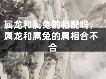 属龙和属兔的相配吗，属龙和属兔的属相合不合