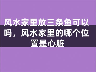风水家里放三条鱼可以吗,风水家里的哪个位置是心脏