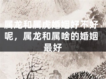 属龙和属虎婚姻好不好呢，属龙和属啥的婚姻最好