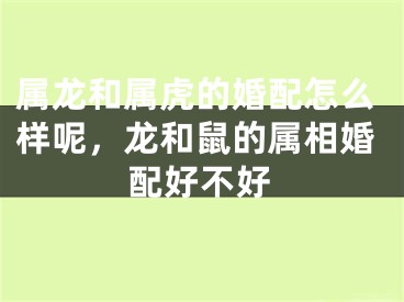 属龙和属虎的婚配怎么样呢，龙和鼠的属相婚配好不好