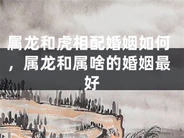 属龙和虎相配婚姻如何,属龙和属啥的婚姻最好