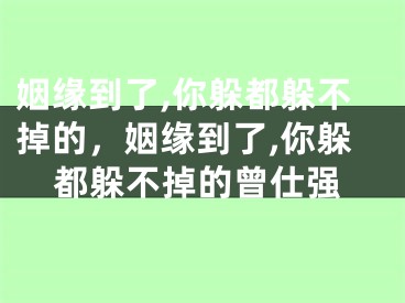 姻缘到了,你躲都躲不掉的，姻缘到了,你躲都躲不掉的曾仕强