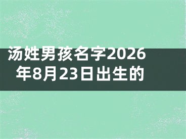 汤姓男孩名字2026年8月23日出生的