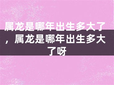 属龙是哪年出生多大了，属龙是哪年出生多大了呀