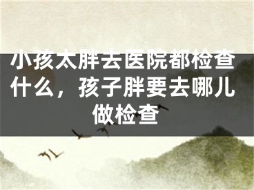 小孩太胖去医院都检查什么，孩子胖要去哪儿做检查