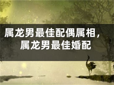 属龙男最佳配偶属相，属龙男最佳婚配