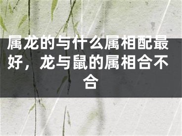 属龙的与什么属相配最好，龙与鼠的属相合不合