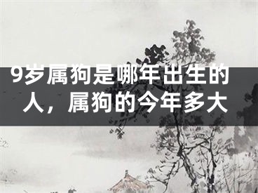 9岁属狗是哪年出生的人，属狗的今年多大