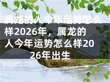 属龙的人今年运势怎么样2026年，属龙的人今年运势怎么样2026年出生