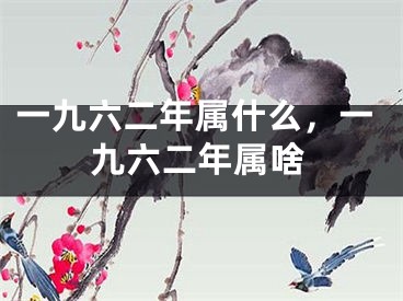 一九六二年属什么，一九六二年属啥