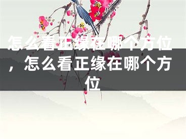 怎么看正缘在哪个方位，怎么看正缘在哪个方位