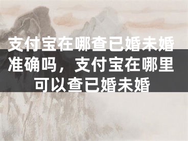 支付宝在哪查已婚未婚准确吗，支付宝在哪里可以查已婚未婚