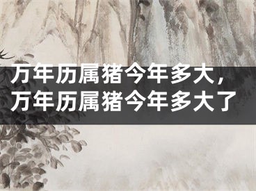 万年历属猪今年多大，万年历属猪今年多大了