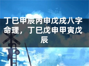 丁巳甲辰丙申戊戌八字命理，丁巳戊申甲寅戊辰