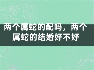 两个属蛇的配吗，两个属蛇的结婚好不好